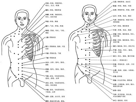 人身穴位圖|人體穴位圖（帶穴位功能主治說明）